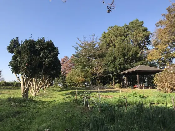 山頂は広場です。