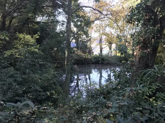池が有ります。