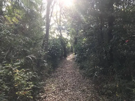 谷の周りは、自然豊かな山です。