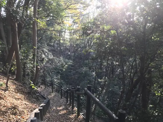 山道抜けると住宅街w