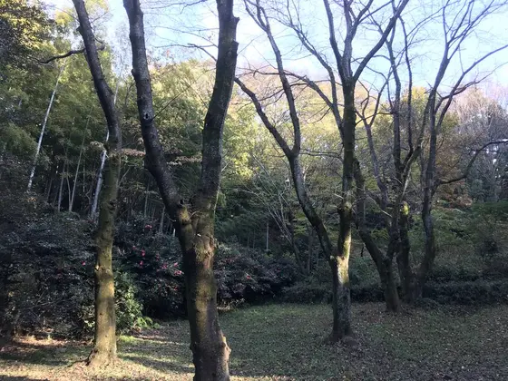 池の近くの広場