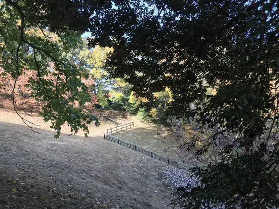 再びの展望広場