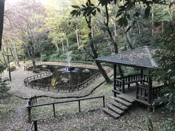 ハート型の池