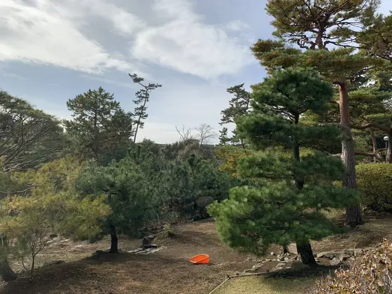 庭園