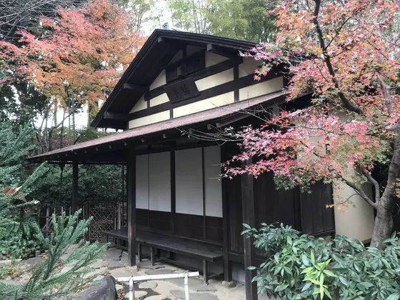 そして、茶室です。