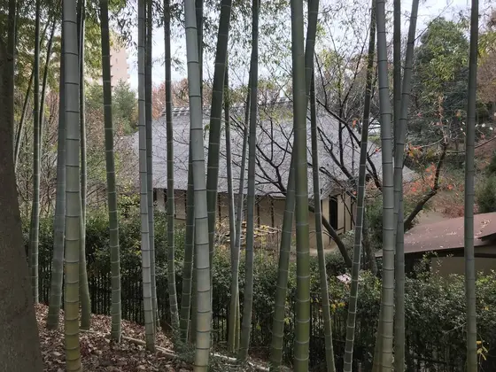 都築古民家園へ