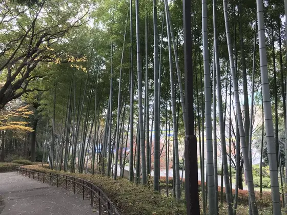 山までのスロープ