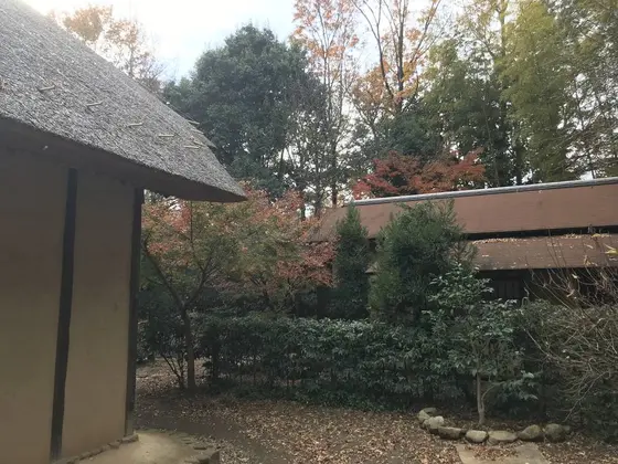 何故か、母屋の裏って撮っちゃいますw