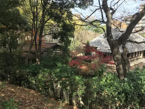 道すがらの都築民家園です。