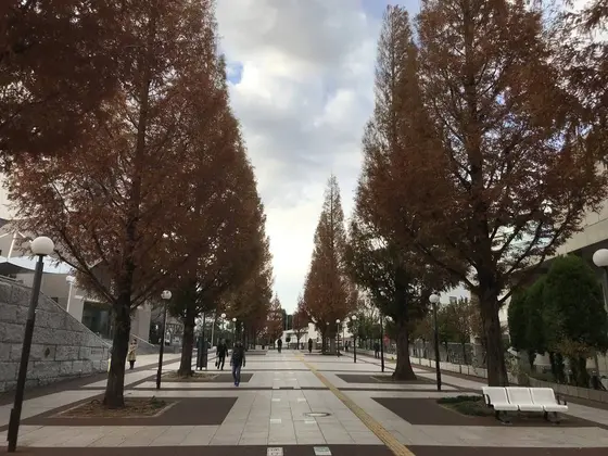 ここからは、都築中央公園です。