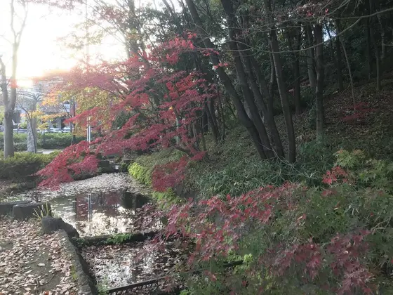 一山超えたら、神社です。