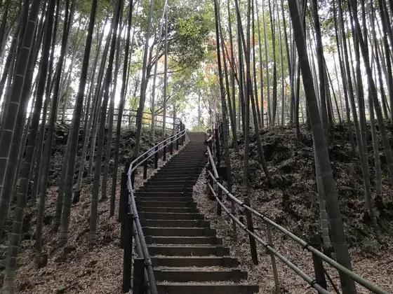 この階段を登れば終わりですw