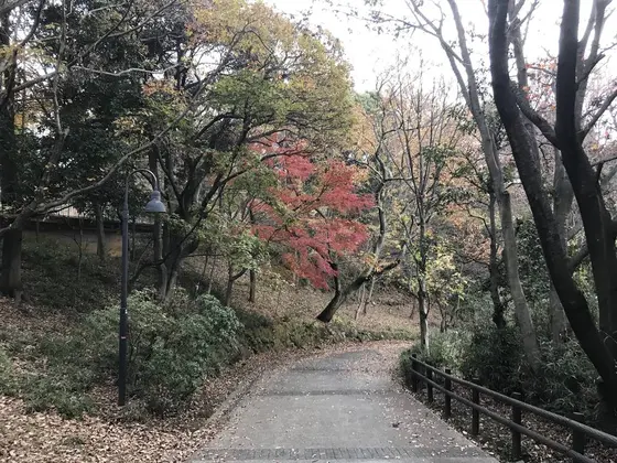 メインの通りは歩きやすいです。