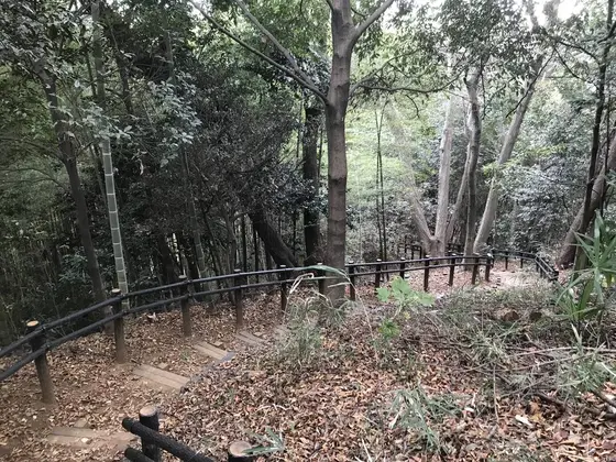 柵の外は崖です。