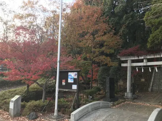 紅く燃え立つ、木々が美しいです。