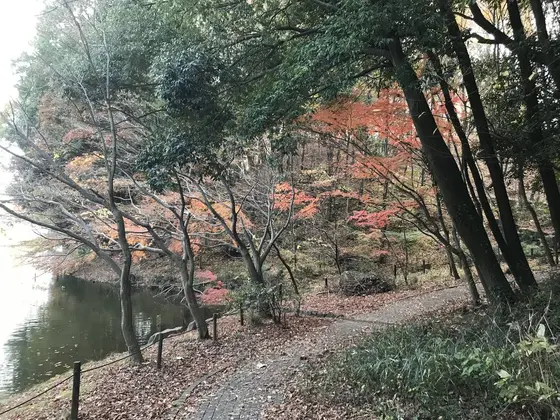 宮谷戸を左折