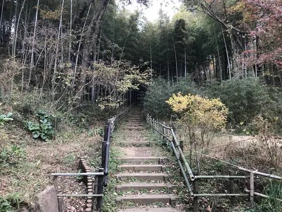 休憩所からは又、登ります。