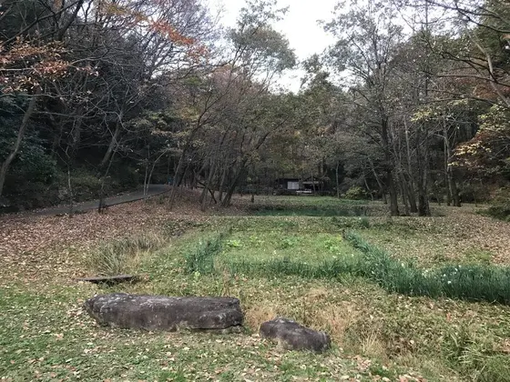 窯も奥に見えます。