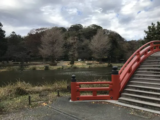 四季折々に楽しめます。