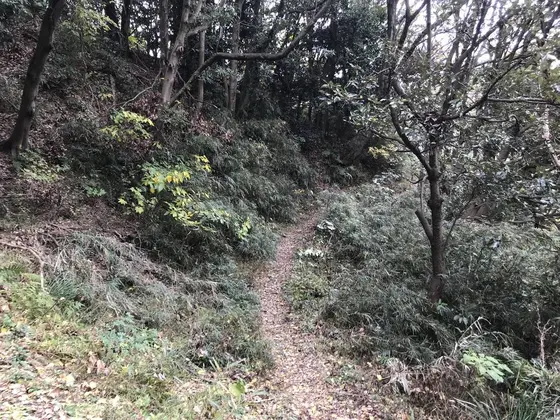 墓所前は分かれ道