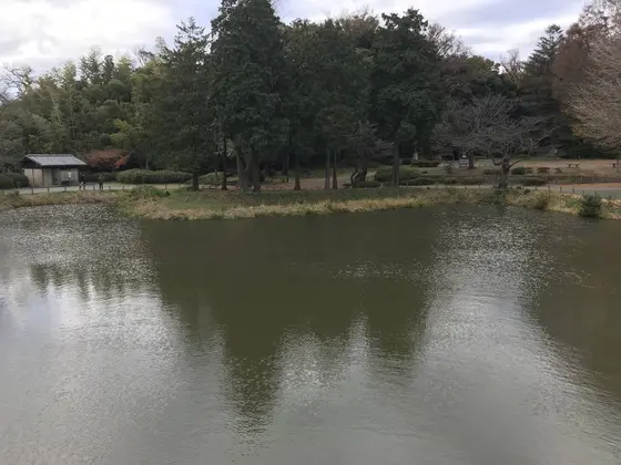 結構広い池です。