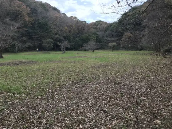 かなり、広い草原です。