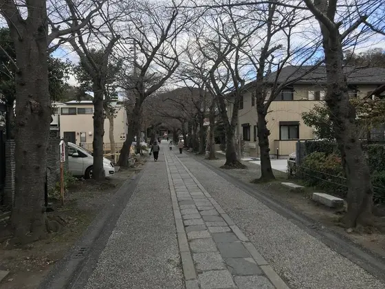 結構長い参道です。
