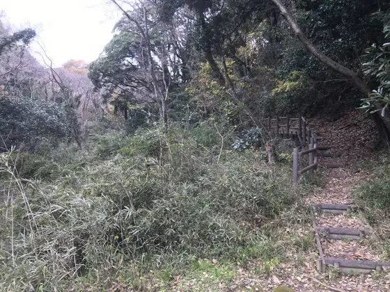 いきなりの、山道