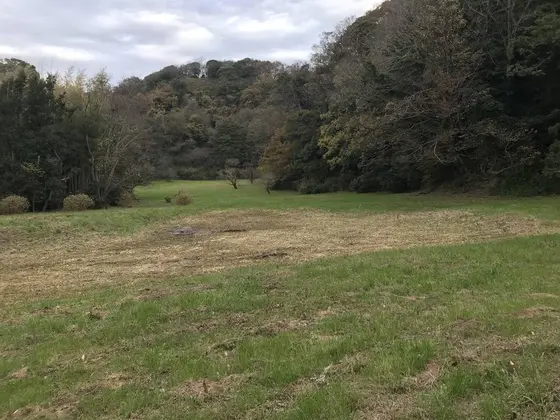 草原ですが・・・