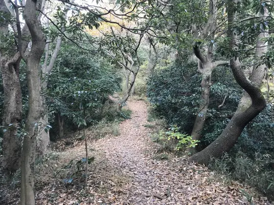 広場に出ました。