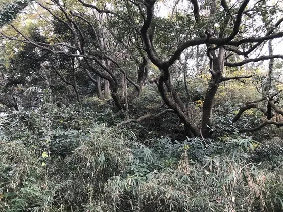 ウハハハハっw
