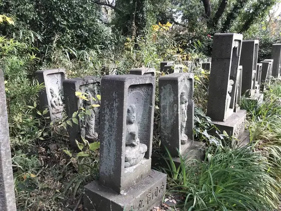 境内に下りる山道の途中