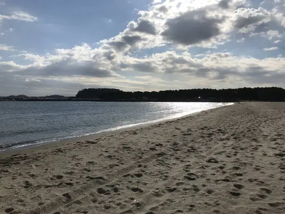 陽光が眩しいです。