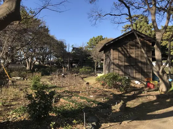 ごちゃごちゃ感がw