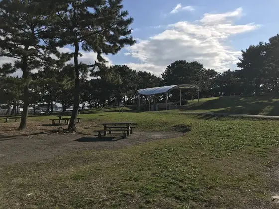 バーベキュー広場