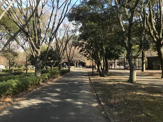 奥には掩体壕も