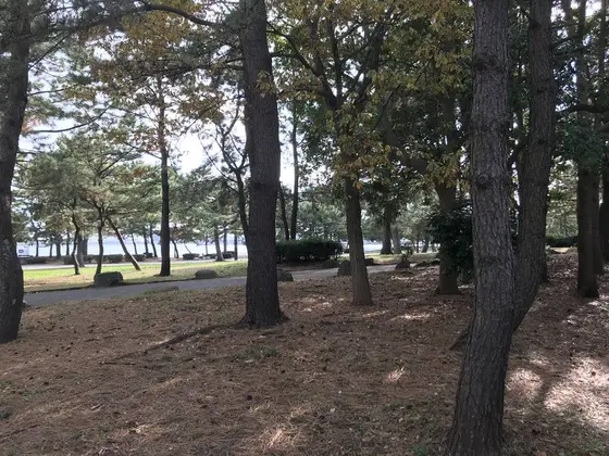 三駅に跨る公園