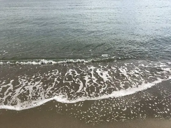 穏やかな波です。