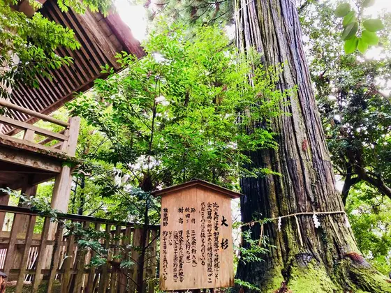 スポット内のおすすめ