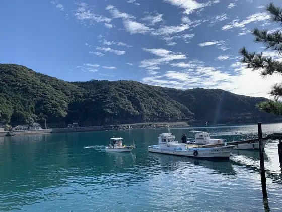 海辺の景観