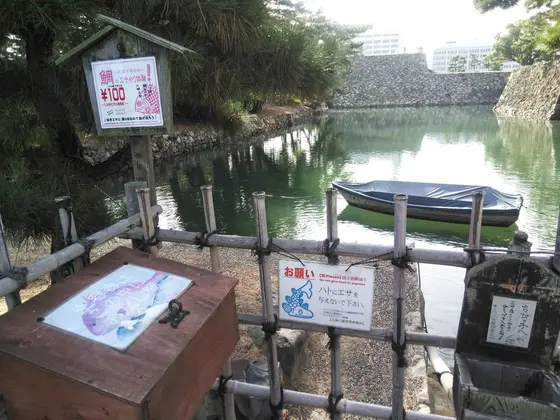 城舟体験&鯉のえさやり体験