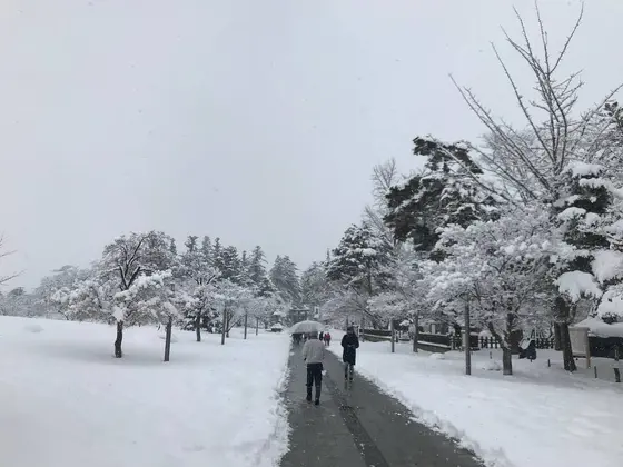 松が岬公園