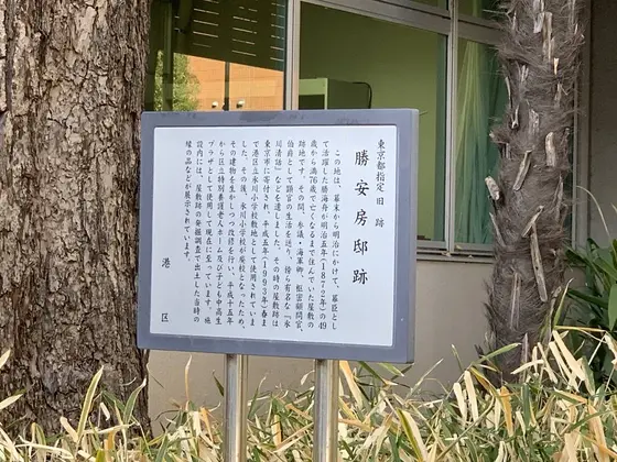 解説