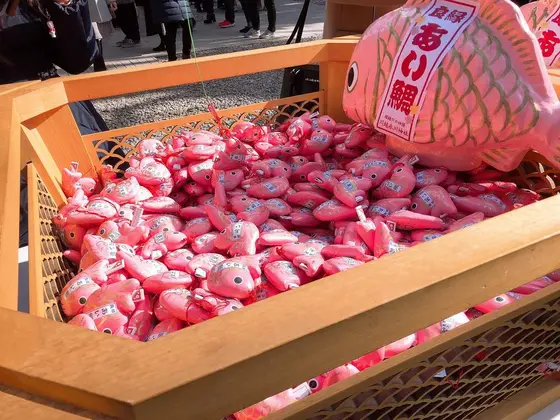あい鯛みくじ