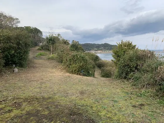 キャンプ