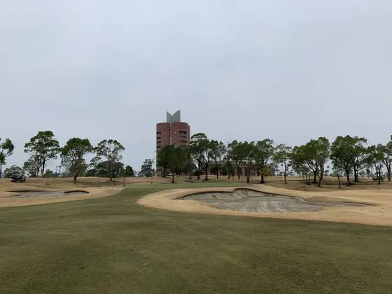 アウトの和木