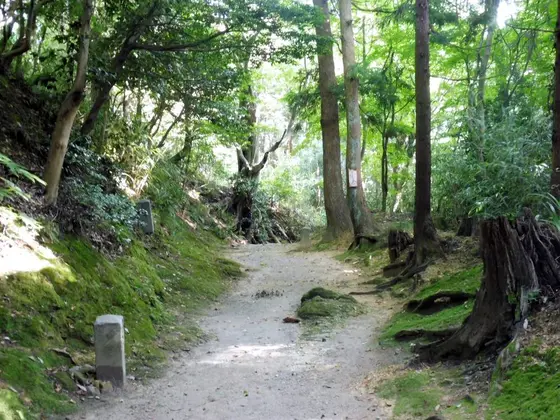 散策路