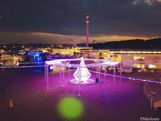 夜景としても楽しめる