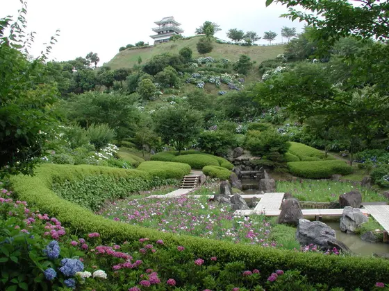 あじさい公園