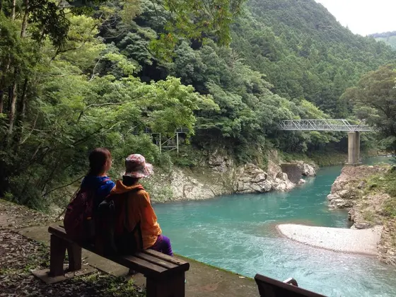 森林セラピーの様子①